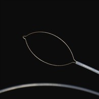 Prong Type Maigan Hkum hkrang hpe n-gun jaw ai